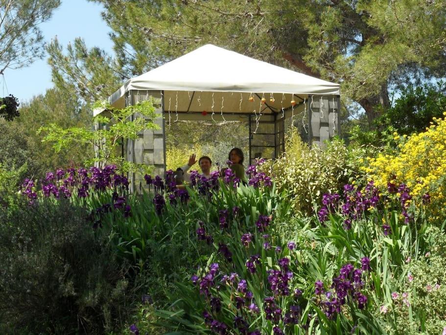 L'Oliveraie En Provence Lambesc Εξωτερικό φωτογραφία